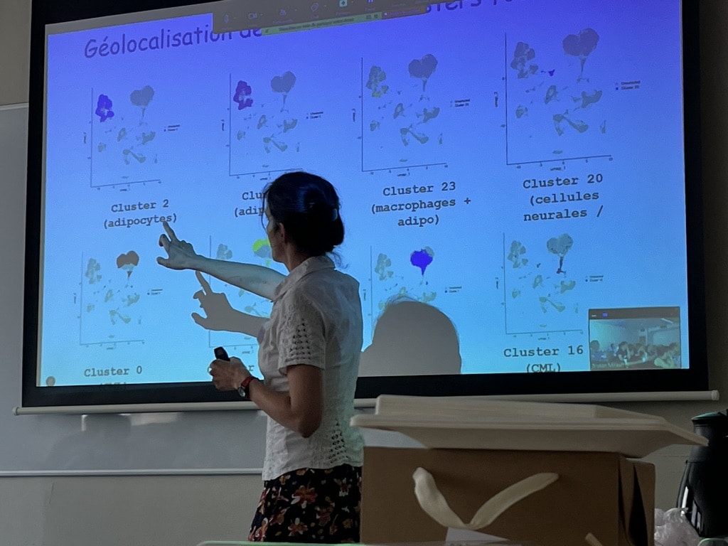 Logo Fava Multi Filière santé maladies rares